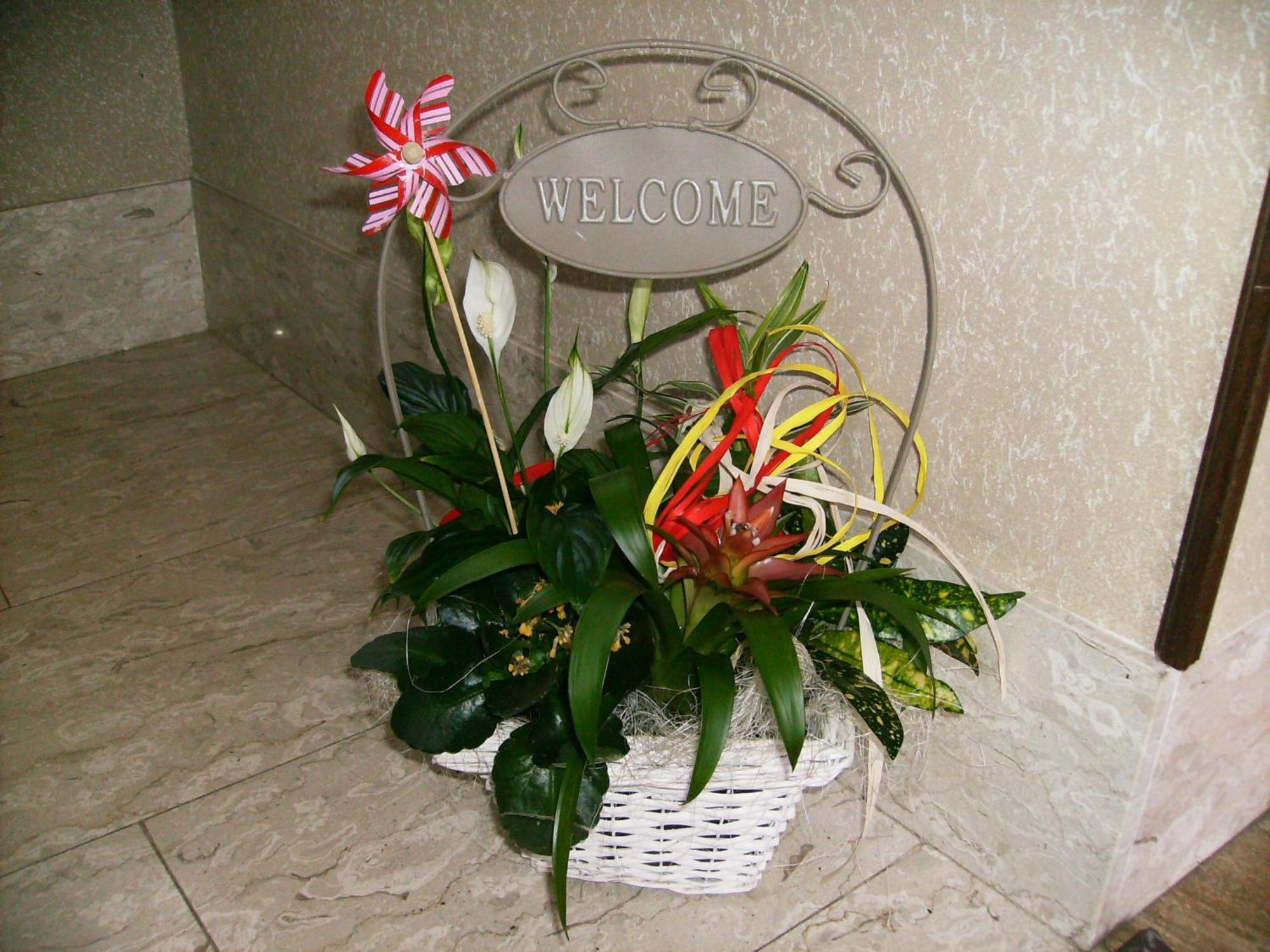 Il Barucin Bed & Breakfast Villar San Costanzo Bagian luar foto